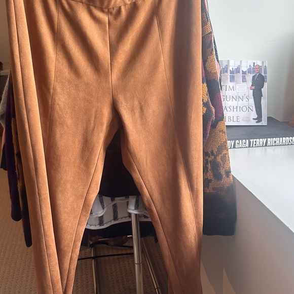 Suede Pants - Picture 11 of 13